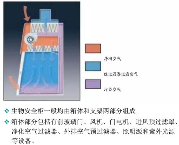 Ⅱ級B2型生物安全柜氣流示意圖